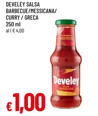 Famila DEVELEY SALSA BARBECUE/MESSICANA/ CURRY / GRECA 250 ml offerta