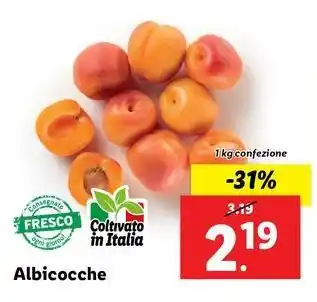 Albicocche 1 kg confezione