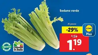 Lidl Sedano verde offerta