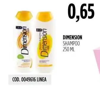 Carico Cash & Carry DIMENSION SHAMPOO offerta