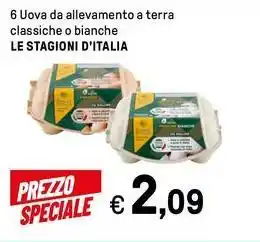 Iper La Grande 6 Uova da allevamento a terra classiche o bianche LE STAGIONI D'ITALIA offerta