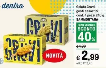 Iper La Grande Gelato Gruvi gusti assortiti conf. 4 pezzi 240 g SAMMONTANA offerta