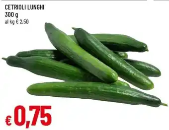 A&O CETRIOLI LUNGHI 300 g offerta