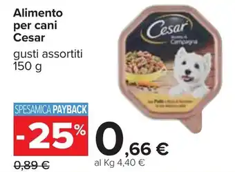 Carrefour Iper Cesar Alimento per cani 150g offerta