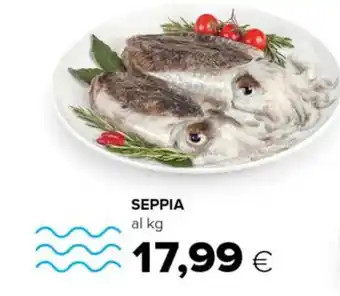 Tigre SEPPIA offerta