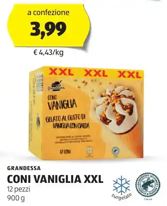 ALDI GRANDESSA CONI VANIGLIA XXL 12 pezzi 900 g offerta