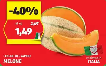 ALDI I COLORI DEL SAPORE MELONE offerta