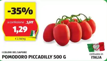 ALDI I COLORI DEL SAPORE POMODORO PICCADILLY 500 G offerta