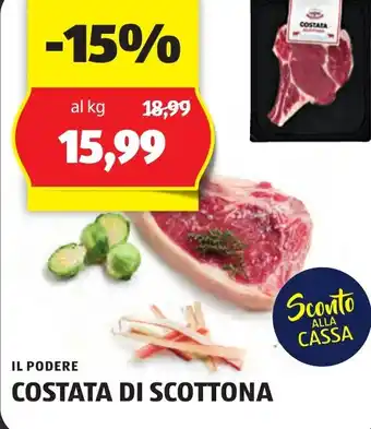 ALDI IL PODERE COSTATA DI SCOTTONA offerta