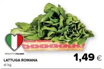 Oasi LATTUGA ROMANA offerta