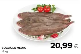 SOGLIOLA MEDIA