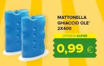 Oasi MATTONELLA GHIACCIO OLE' 2X400 offerta