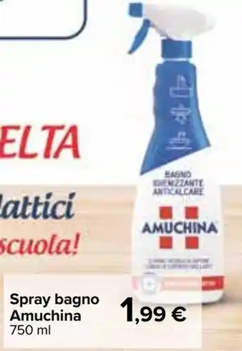 Carrefour Iper Amuchina Spray bagno 750ml offerta
