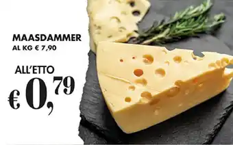 Coal MAASDAMMER offerta