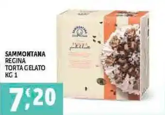 Deco Superfreddo SAMMONTANA REGINA TORTA GELATO KG 1 offerta