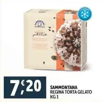 Deco Supermercati SAMMONTANA REGINA TORTA GELATO KG1 offerta