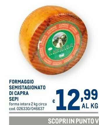 Metro Sepi formaggio semistagionato di capra offerta