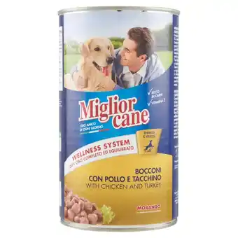 MIGLIOR CANE