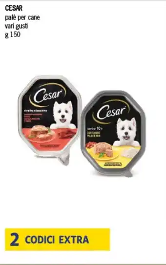 SeBón Supermercati CESAR patè per cane vari gusti g 150 offerta