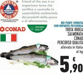 Conad Conad trota iridea salmonata percorso qualità offerta