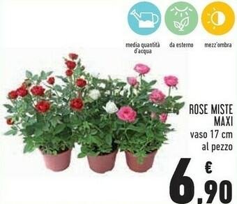 Conad Rose miste maxi offerta