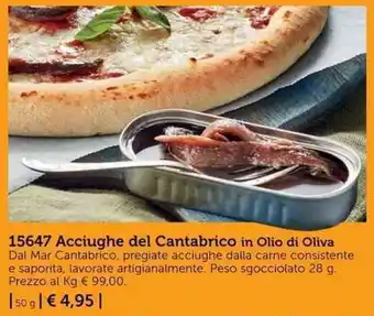 15647 Acciughe del Cantabrico in Olio di Oliva
