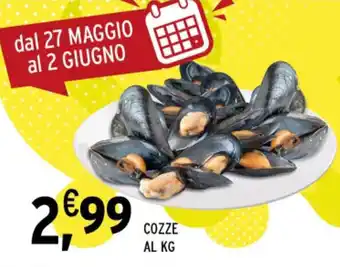 Gecop COZZE offerta