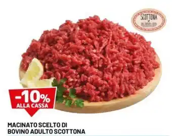 DPiù MACINATO SCELTO DI BOVINO ADULTO SCOTTONA offerta