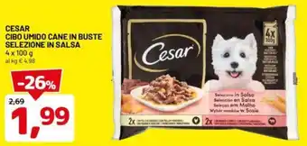 DPiù CESAR CIBO UMIDO CANE IN BUSTE SELEZIONE IN SALSA 4 x 100 g offerta