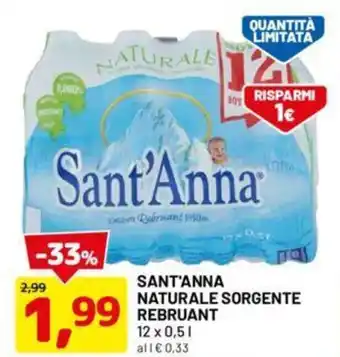 DPiù SANT'ANNA NATURALE SORGENTE REBRUANT 12 x 0,5 l offerta