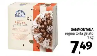Pam SAMMONTANA regina torta gelato 1 Kg offerta