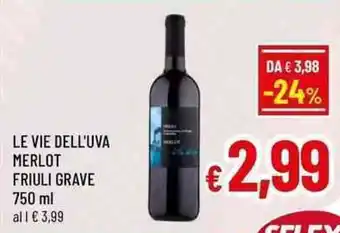 A&O LE VIE DELL'UVA MERLOT FRIULI GRAVE 750 ml offerta