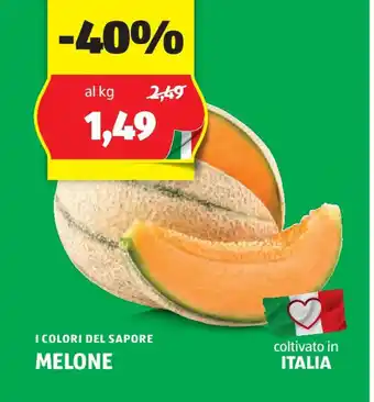 ALDI I COLORI DEL SAPORE MELONE offerta