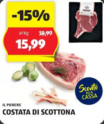 ALDI IL PODERE COSTATA DI SCOTTONA offerta