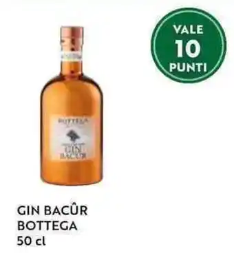 Il Gigante GIN BACÛR BOTTEGA 50 cl offerta