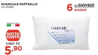 Alì Supermercati GUANCIALE RAFFAELLO cm 50x80 offerta