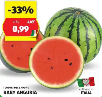 ALDI I COLORI DEL SAPORE BABY ANGURIA offerta