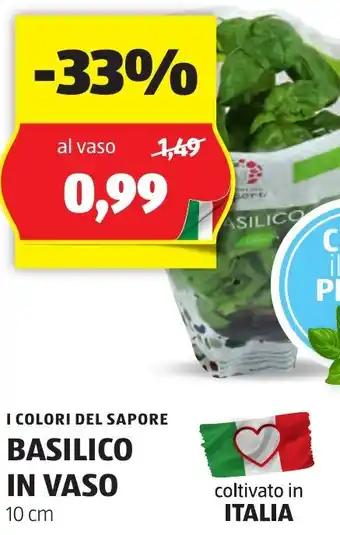 ALDI I COLORI DEL SAPORE BASILICO IN VASO 10 cm offerta