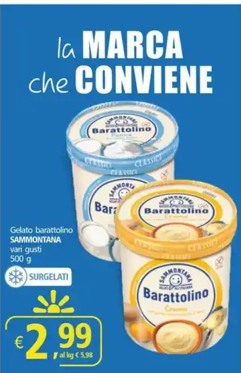 Alter Discount Gelato barattolino SAMMONTANA vari gusti 500 g offerta