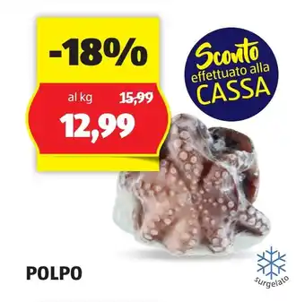ALDI POLPO offerta
