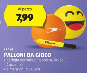 ALDI CRANE PALLONI DA GIOCO offerta