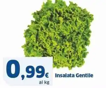 Sigma Insalata Gentile offerta