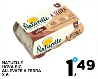 Extra Supermercati NATUELLE UOVA BIG ALLEVATE A TERRA X 6 offerta