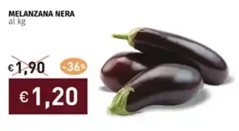 Prezzemolo e Vitale MELANZANA NERA offerta