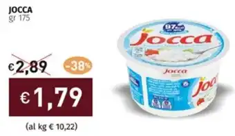 Prezzemolo e Vitale JOCCA gr 175 offerta