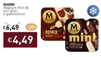 ALGIDA Magnum Mini x6 vari gusti e grammature