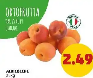 PENNY ALBICOCCHE al kg offerta