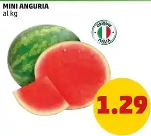 PENNY MINI ANGURIA offerta