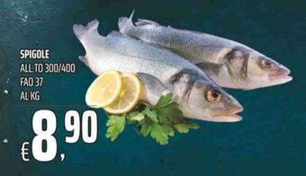 Coop Spigole offerta