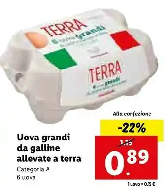 Lidl Uova grandi da galline allevate a terra offerta